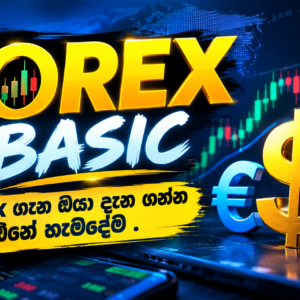 Forex Basics