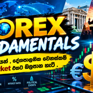 Forex Fundamentals